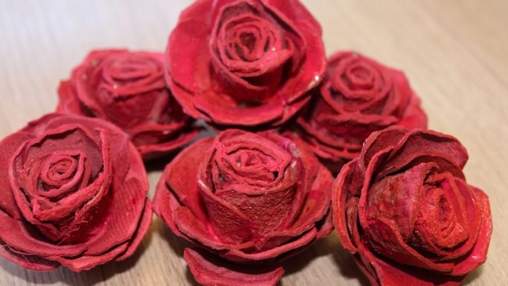 rosas de carton de huevo