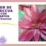 FLOR DE PASCUA