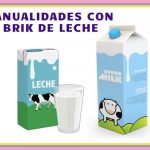 ENVASES DE LECHE