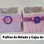 palitos de helado y cajas de carton