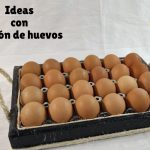 carton de huevos